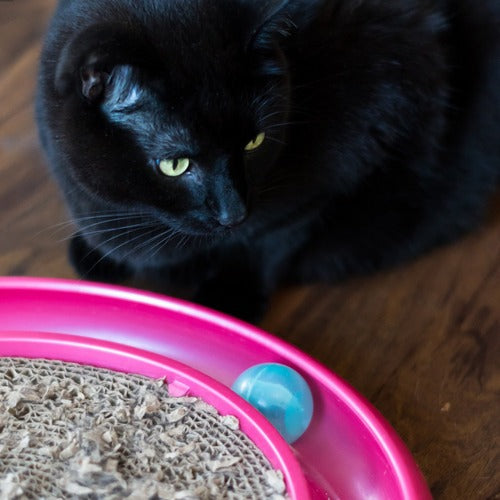 Super Arranhador Redondo Para Gato Relax Com Bolinha Miau