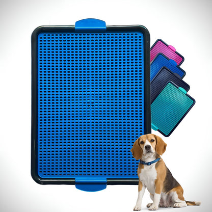 Tapete Sanitário Canino Higiênico Banheiro Educa Pet Tapete Lavável Banheiro Pet